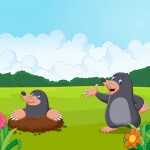 cuento topos