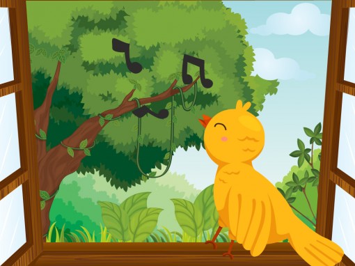 Cuento: Diego y su canario amarillo