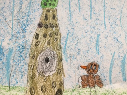 Cuento infantil: Pitín, el petirrojo