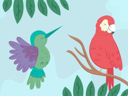 Rundo y el colibrí