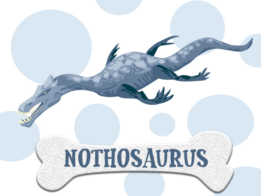 DINOSAURIO: Nothosaurus Características, hábitat y alimentación