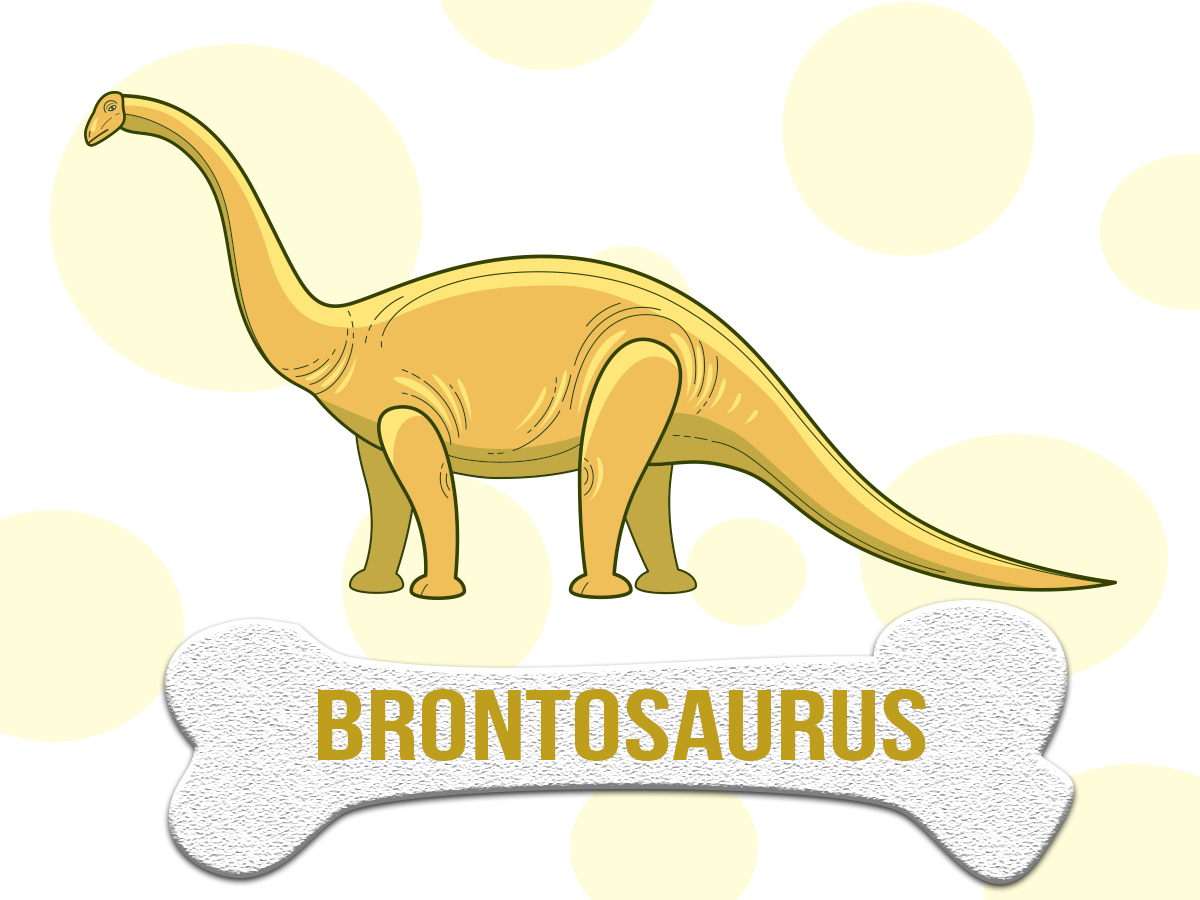 mucho contar hasta Honestidad DINOSAURIO: Brontosaurus ▷ Características, hábitat y alimentación