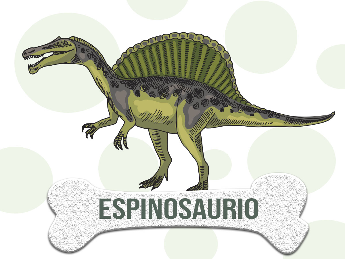DINOSAURIO: Espinosaurio o Spinosaurus ▷ Características DINOSAURIO: Espinosaurio o Spinosaurus ▷ Características