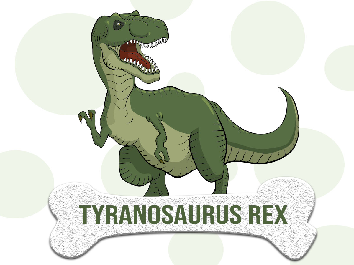DINOSAURIO: Tyranosaurus Rex ▷ Características y alimentación DINOSAURIO: Tyranosaurus Rex ▷ Características y alimentación