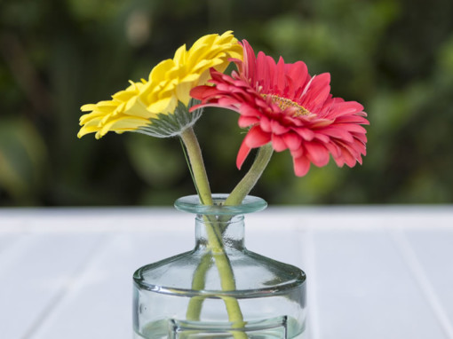 Cómo hacer flores de colores