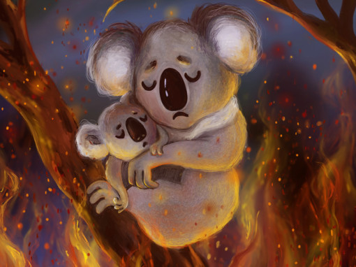 El koala que salvó al Bosque