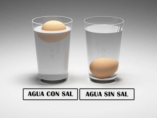 Cómo hacer que un huevo flote