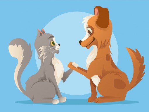 Cuento infantil: Como el perro y el gato