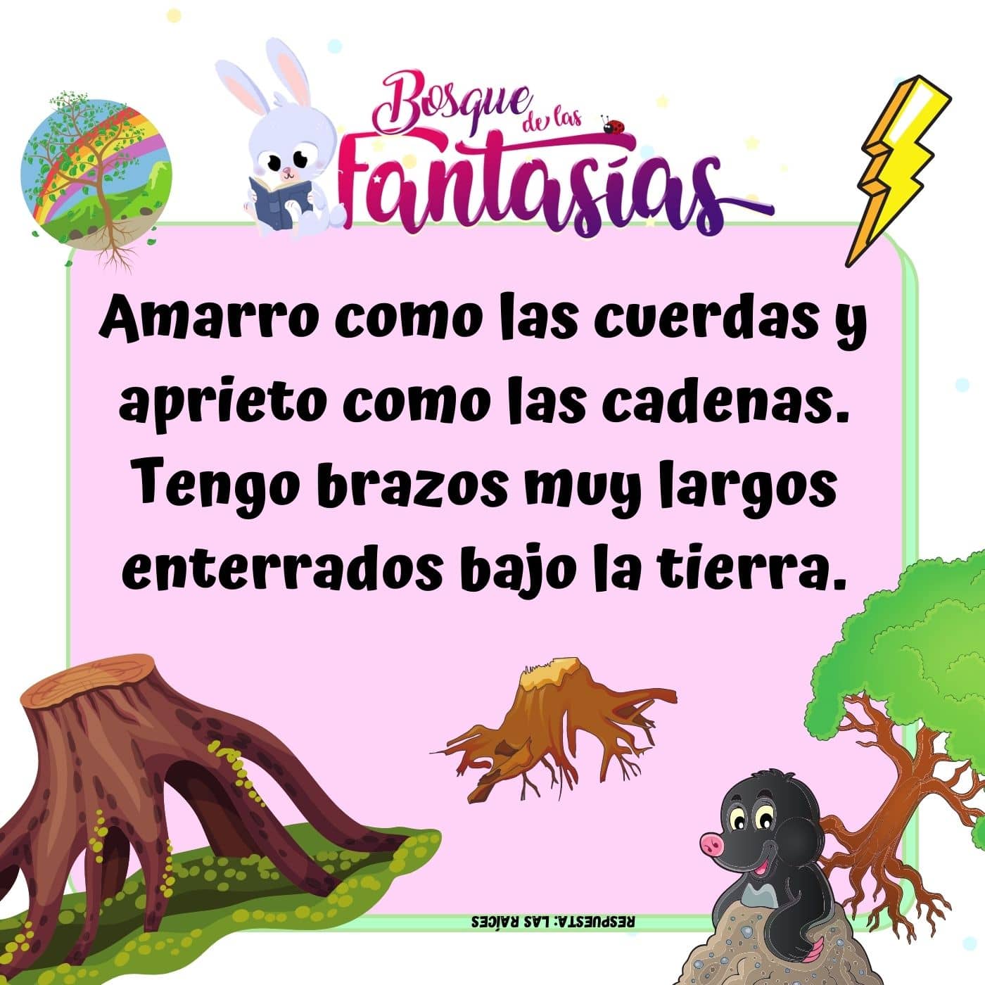 Adivinanza Por Día 366 Adivinanzas Para Leer En Familia: Acertijos  Infantiles Aptos Para Niños Y Niñas A Partir De Divertidos Y Fáciles De |  