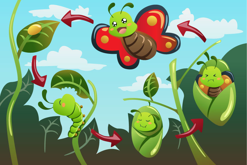 Cuento: La pequeña oruga verde