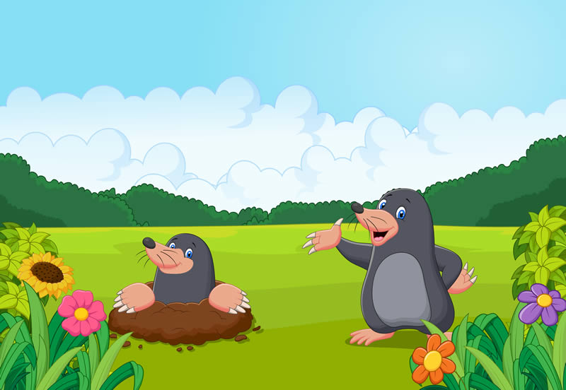 Cuento con valores: La familia topo