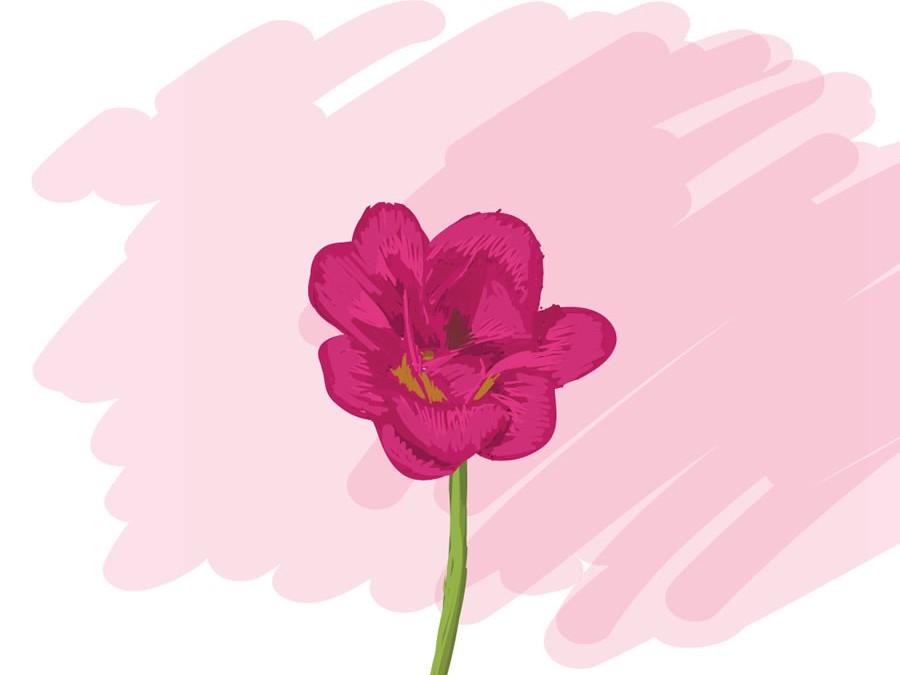 Cuento: La flor más bonita del mundo